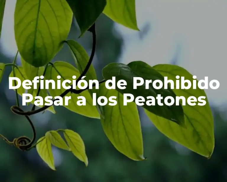 Definición de Prohibido Pasar a los Peatones