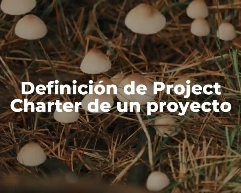 Definición de Project Charter de un proyecto