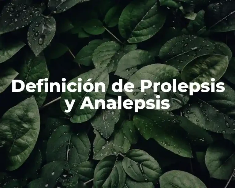 Definición de Prolepsis y Analepsis