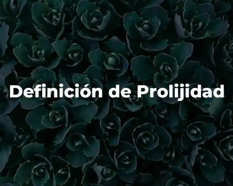 Definición de Prolijidad