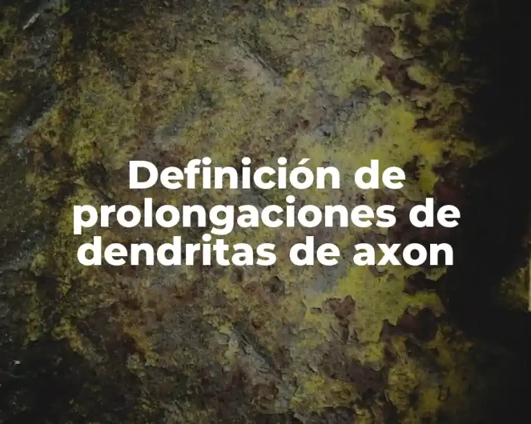 Definición de prolongaciones de dendritas de axon