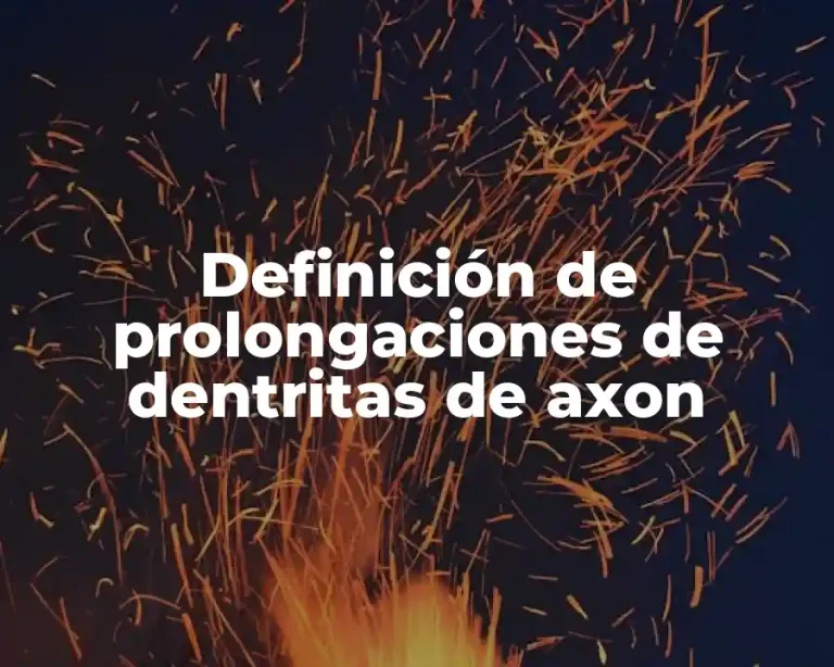 Definición de prolongaciones de dentritas de axon