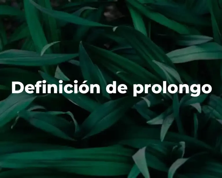 Definición de prolongo
