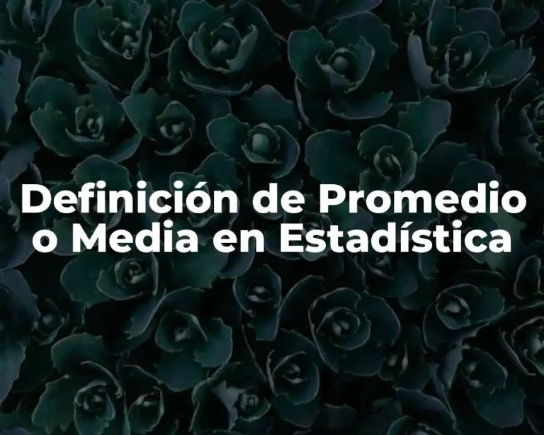 Definición de Promedio o Media en Estadística