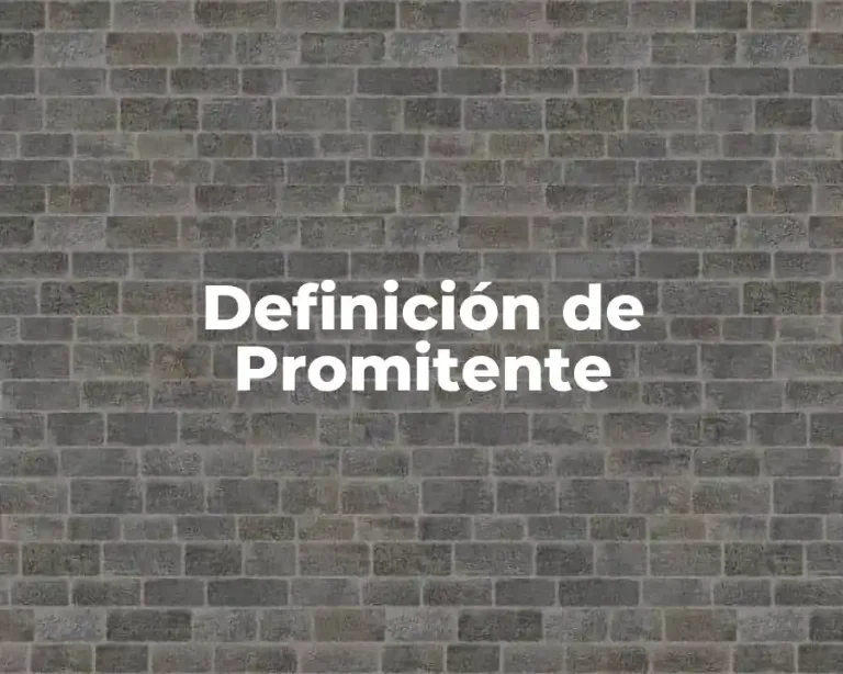 Definición de Promitente