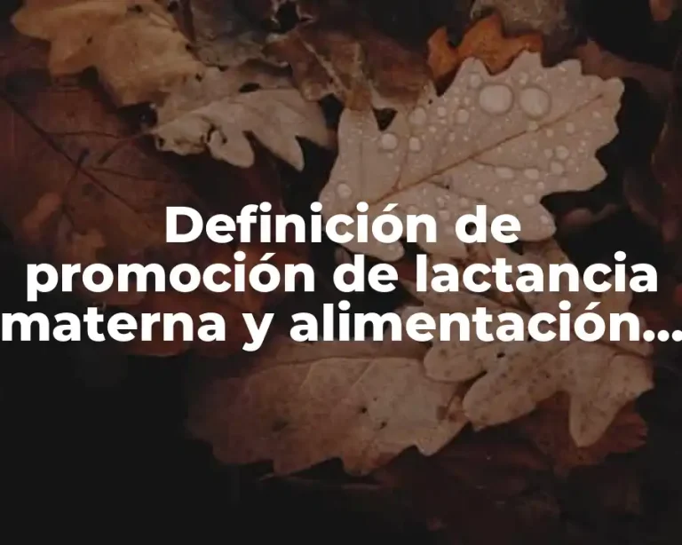 Definición de promoción de lactancia materna y alimentación complementaria