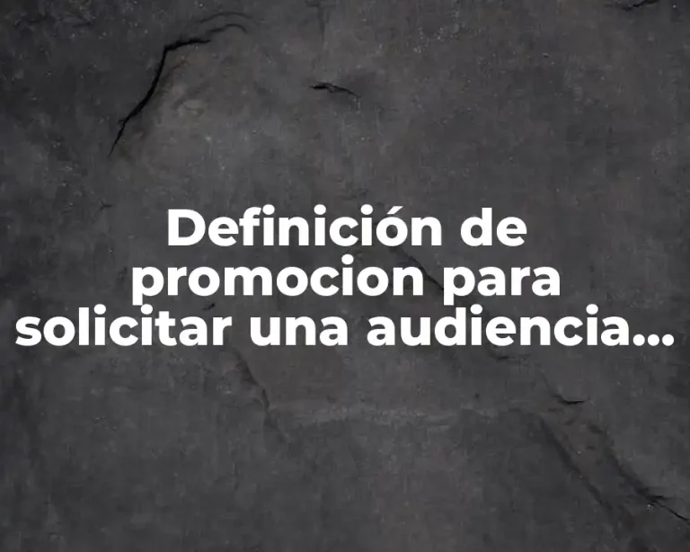 Definición de promocion para solicitar una audiencia en materia peal