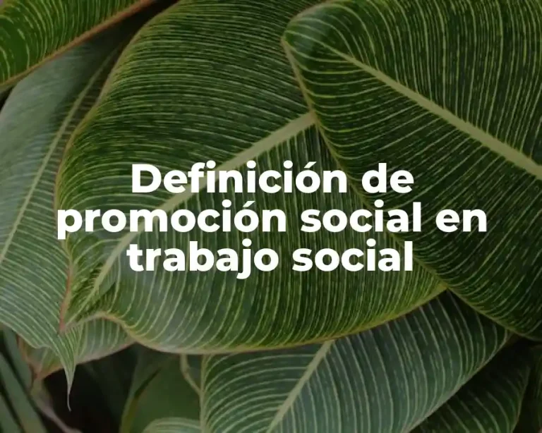 Definición de promoción social en trabajo social