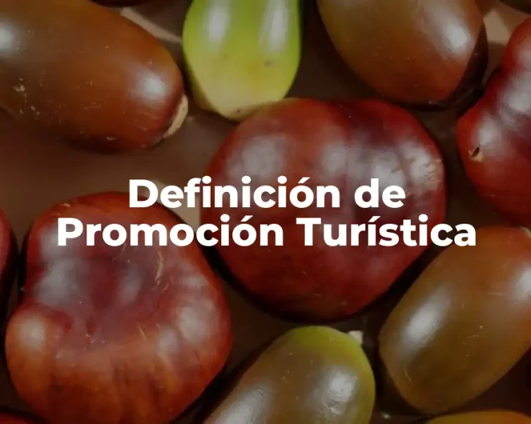 Definición de Promoción Turística