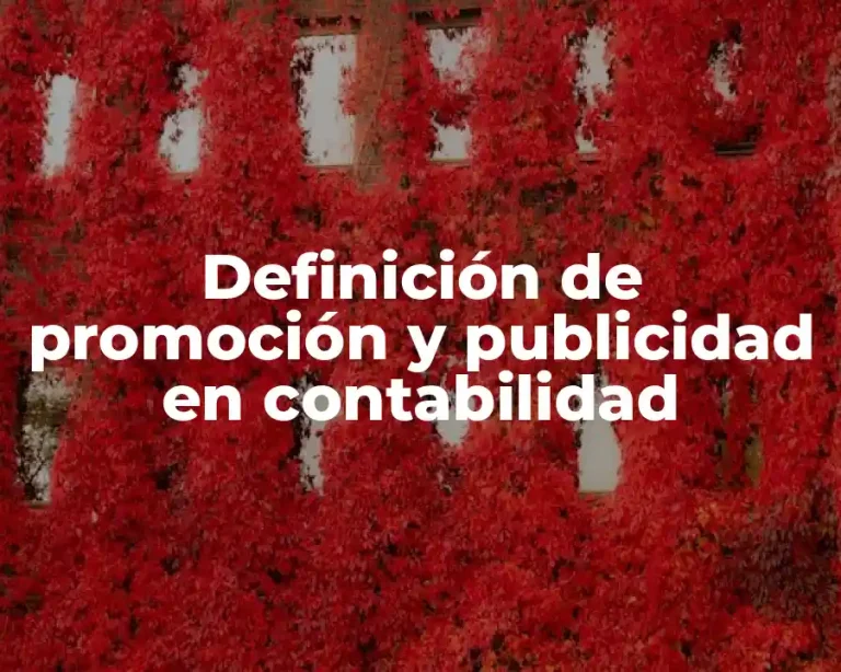 Definición de promoción y publicidad en contabilidad