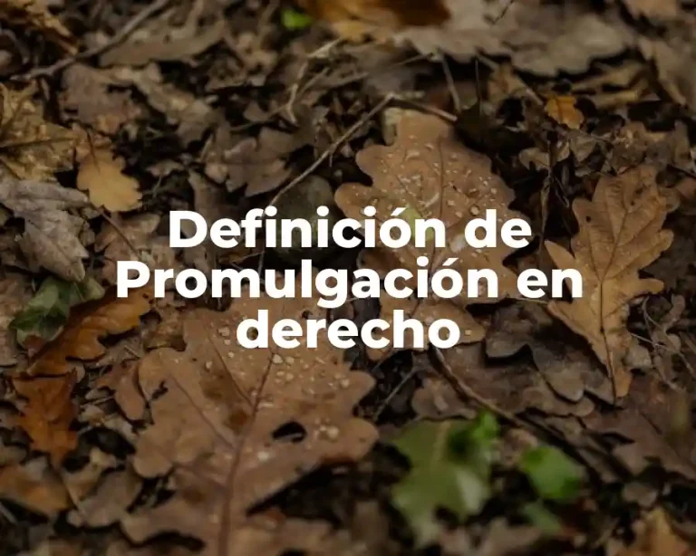 Definición de Promulgación en derecho
