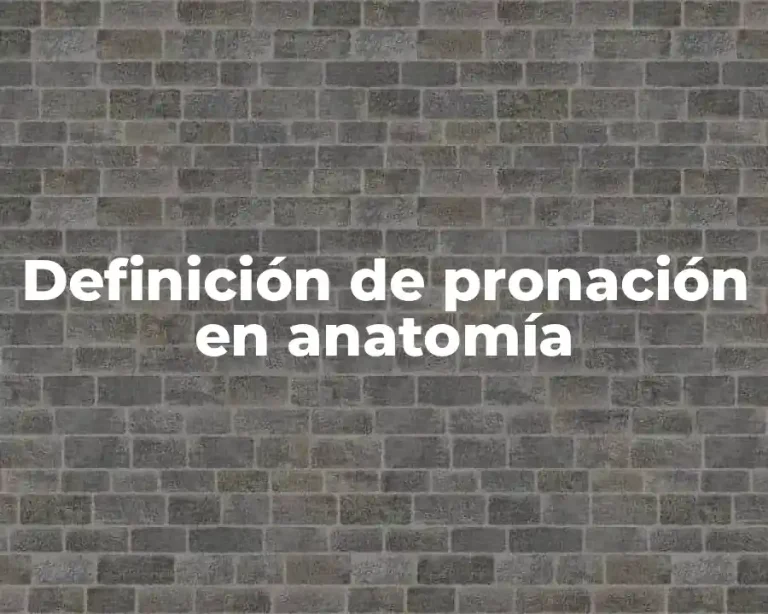 Definición de pronación en anatomía