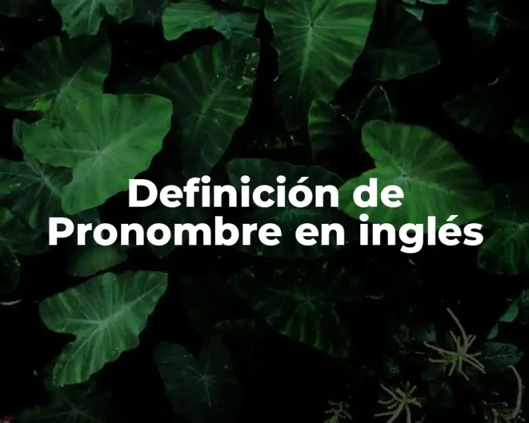 Definición de Pronombre en inglés