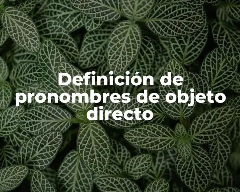 Definición de pronombres de objeto directo