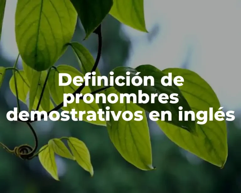 Definición de pronombres demostrativos en inglés