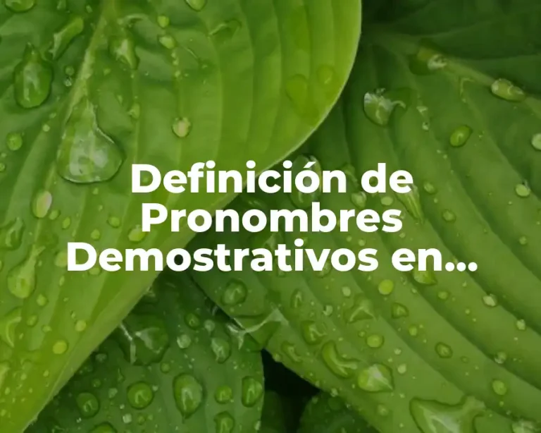 Definición de Pronombres Demostrativos en inglés