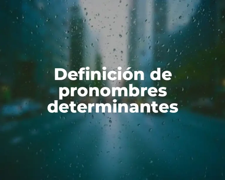Definición de pronombres determinantes