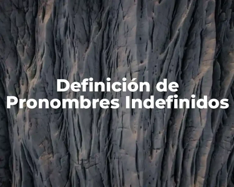 Definición de Pronombres Indefinidos