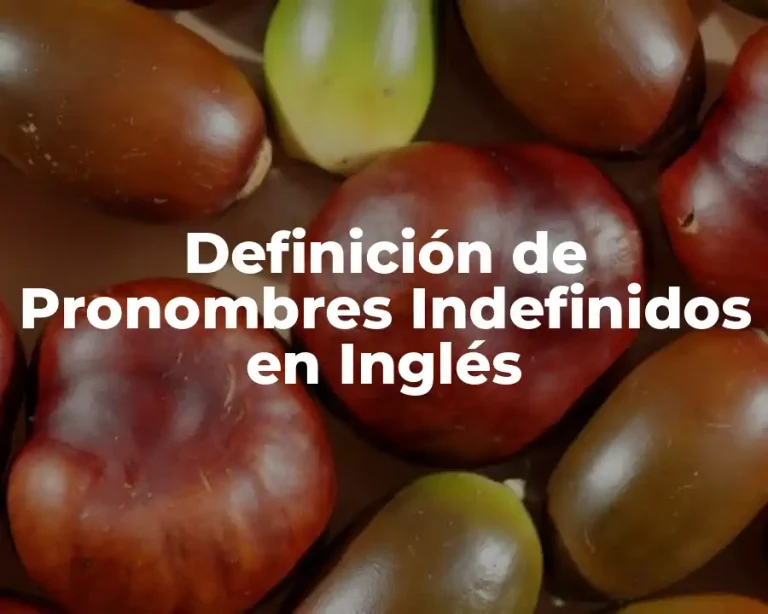 Definición de Pronombres Indefinidos en Inglés