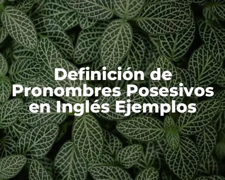Definición de Pronombres Posesivos en Inglés Ejemplos