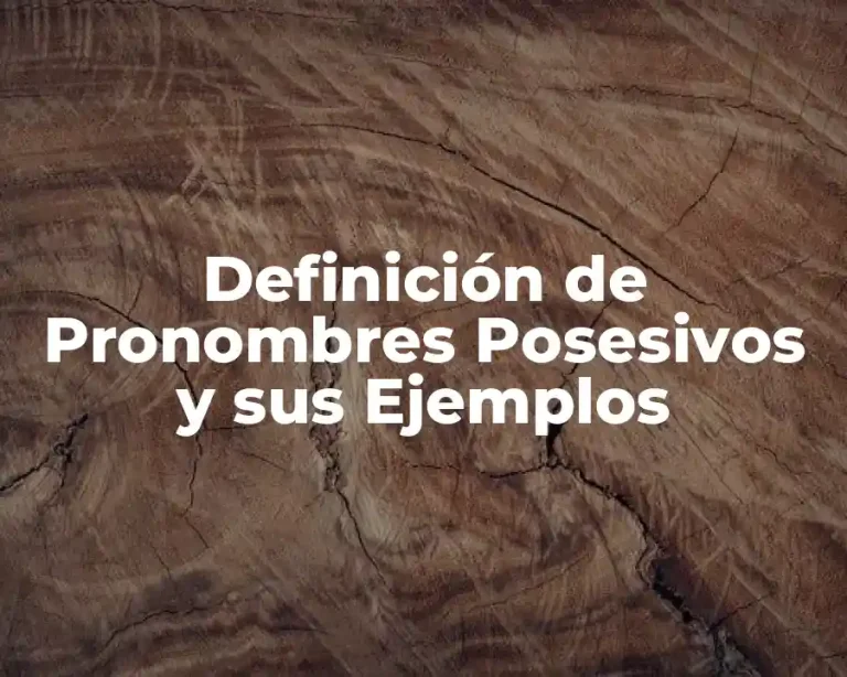 Definición de Pronombres Posesivos y sus Ejemplos