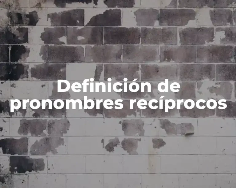 Definición de pronombres recíprocos