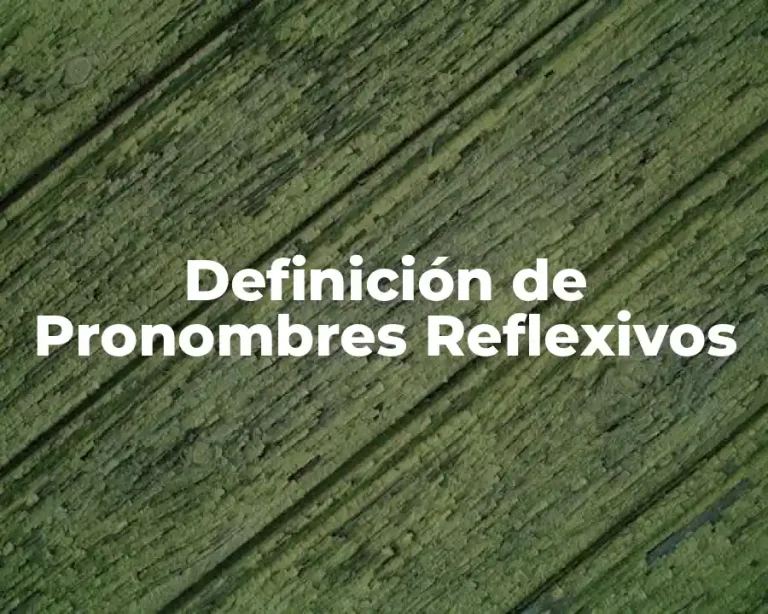 Definición de Pronombres Reflexivos