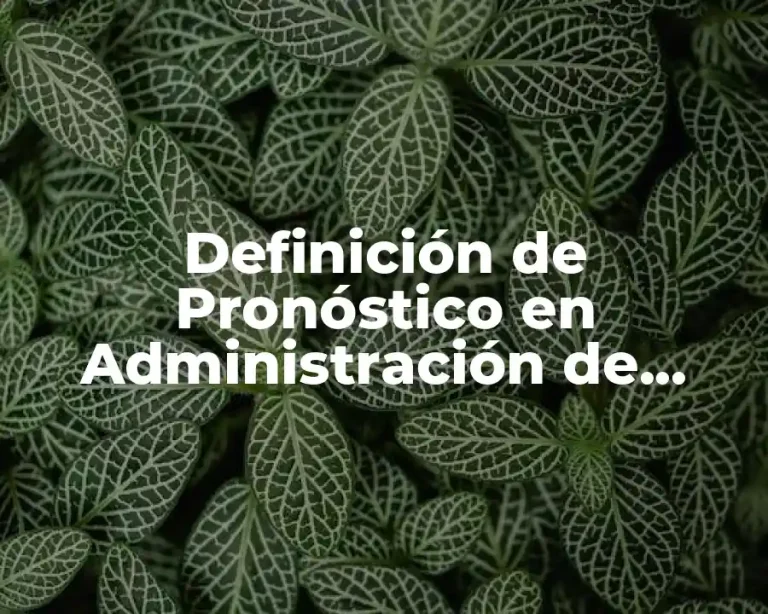 Definición de Pronóstico en Administración de Operaciones