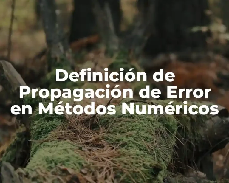 Definición de Propagación de Error en Métodos Numéricos