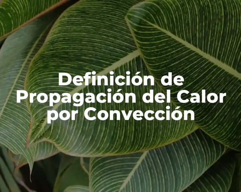 Definición de Propagación del Calor por Convección
