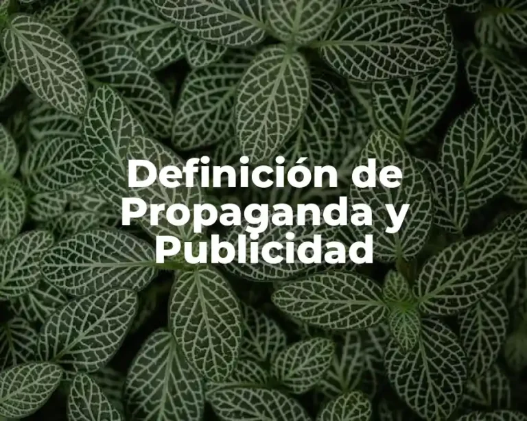 Definición de Propaganda y Publicidad