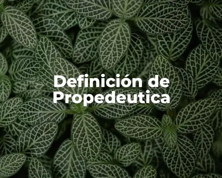 Definición de Propedeutica