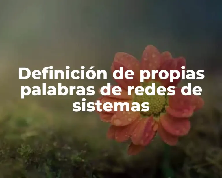 Definición de propias palabras de redes de sistemas
