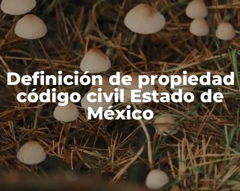 Definición de propiedad código civil Estado de México