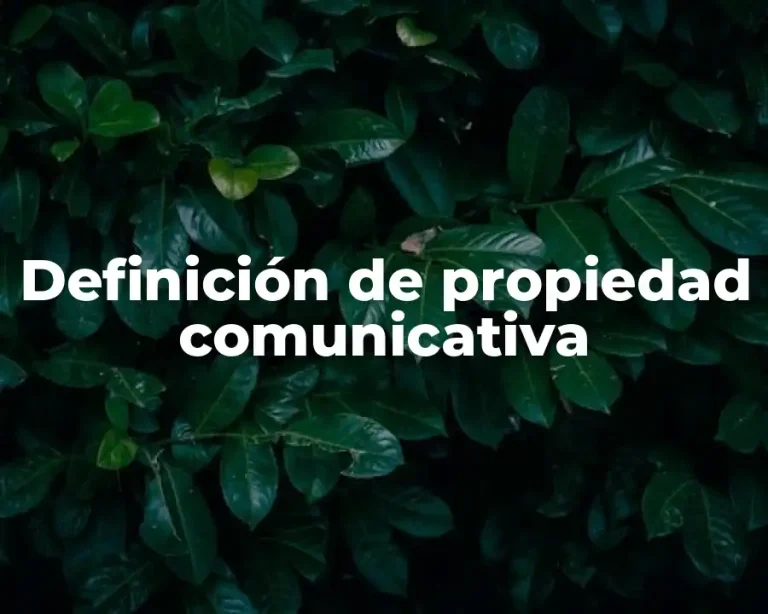 Definición de propiedad comunicativa