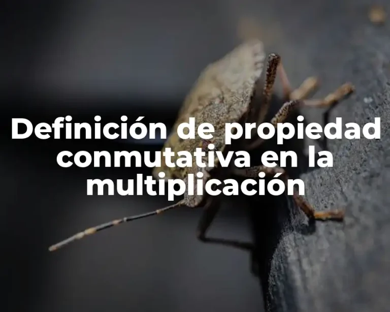 Definición de propiedad conmutativa en la multiplicación