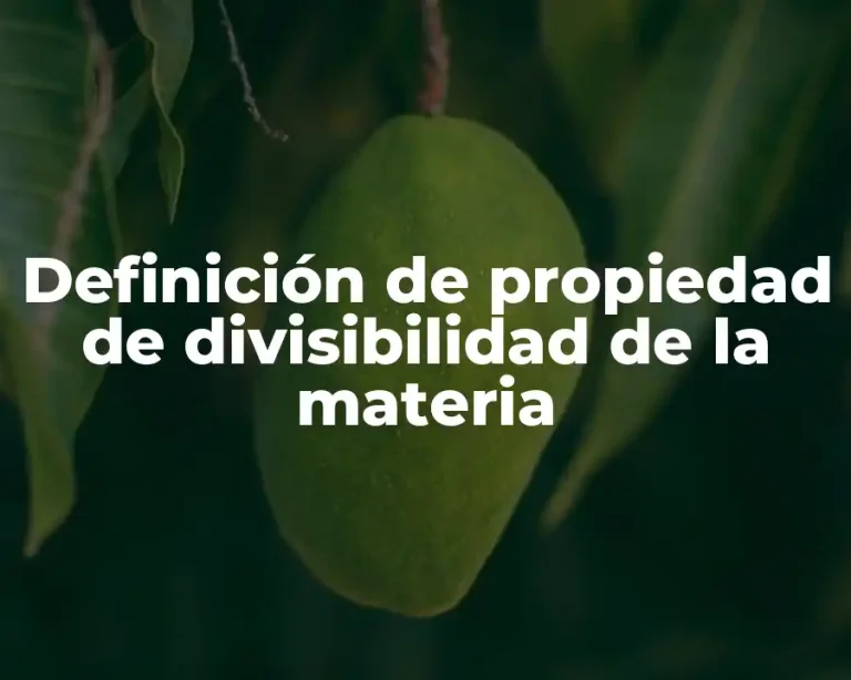 Definición de propiedad de divisibilidad de la materia