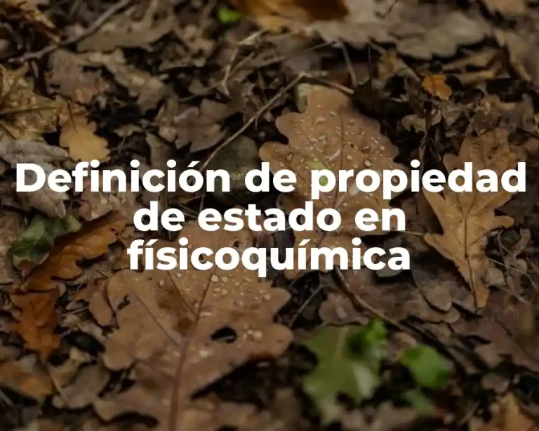 Definición de propiedad de estado en físicoquímica