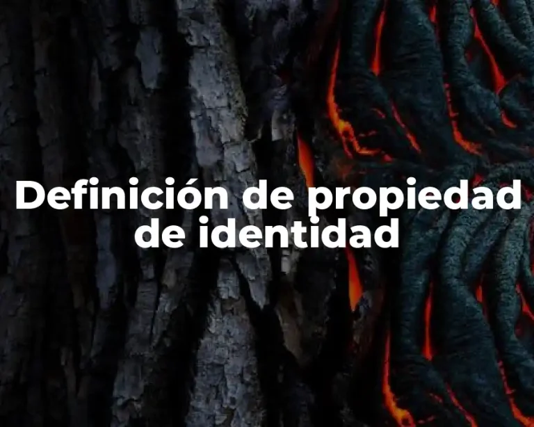 Definición de propiedad de identidad