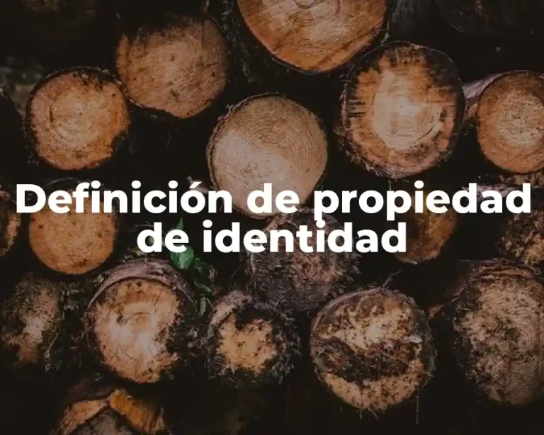Definición de propiedad de identidad