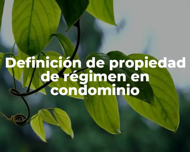 Definición de propiedad de régimen en condominio