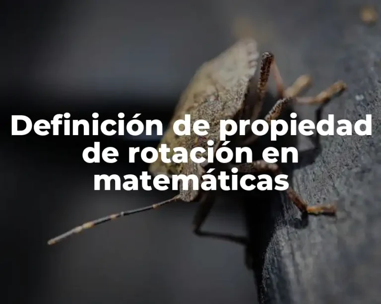Definición de propiedad de rotación en matemáticas