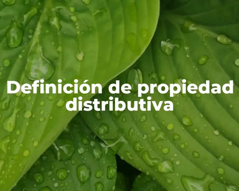 Definición de propiedad distributiva