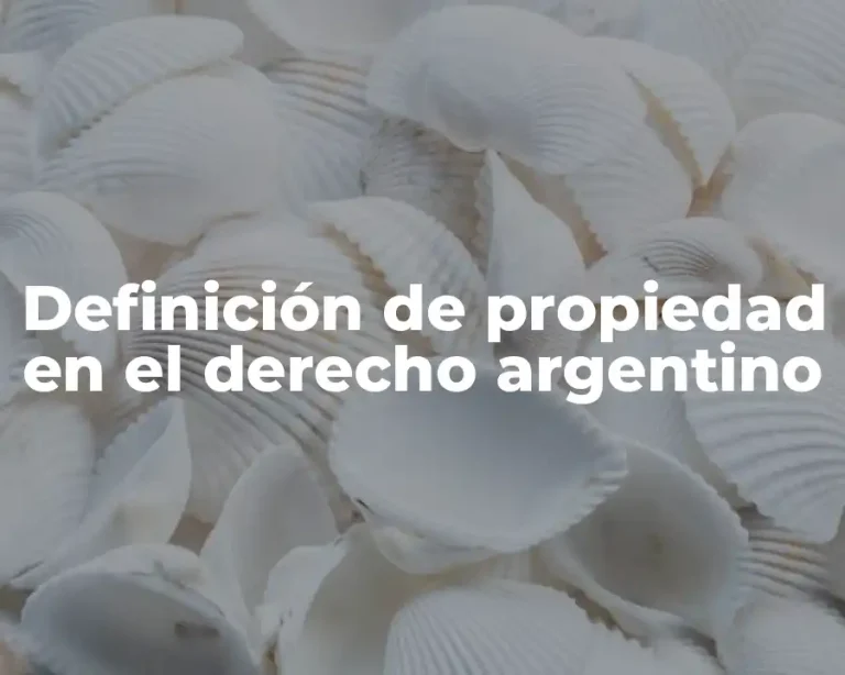 Definición de propiedad en el derecho argentino