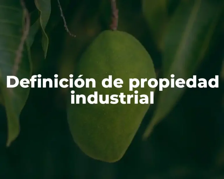 Definición de propiedad industrial