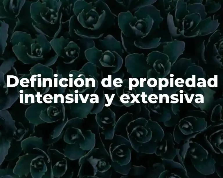Definición de propiedad intensiva y extensiva