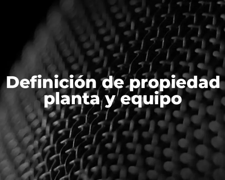 Definición de propiedad planta y equipo