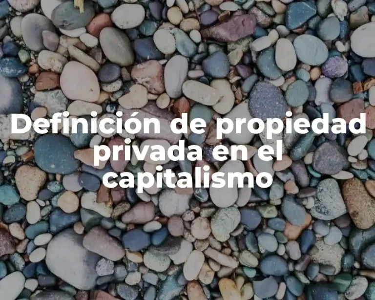 Definición de propiedad privada en el capitalismo