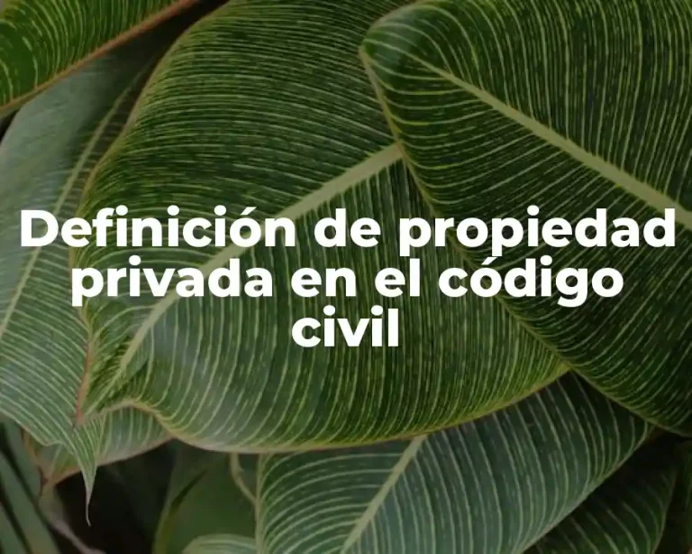 Definición de propiedad privada en el código civil