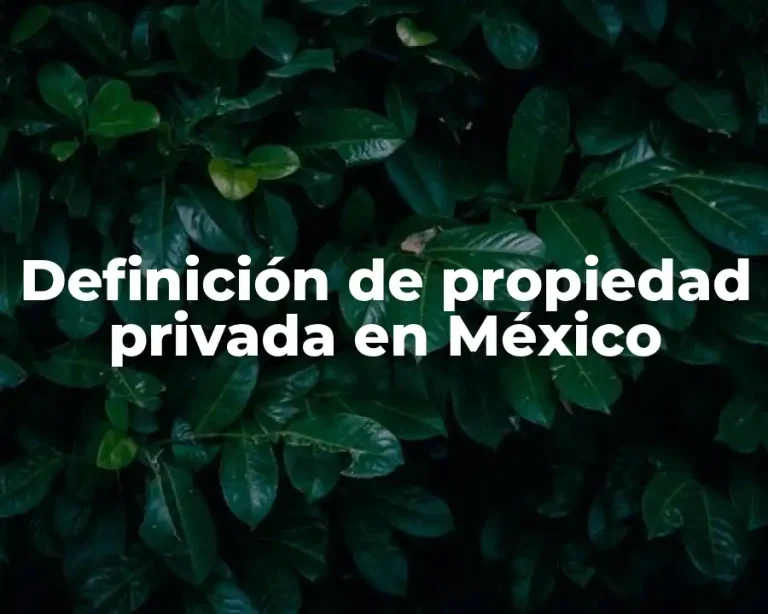 Definición de propiedad privada en México
